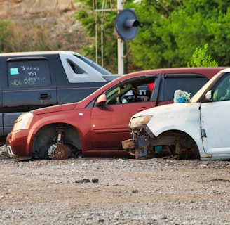 Several cars without wheels and partially stripped of parts are parked on a gravel surface, surrounded by greenery and other discarded items.